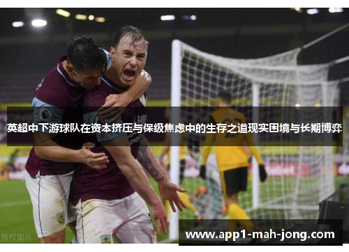 英超中下游球队在资本挤压与保级焦虑中的生存之道现实困境与长期博弈